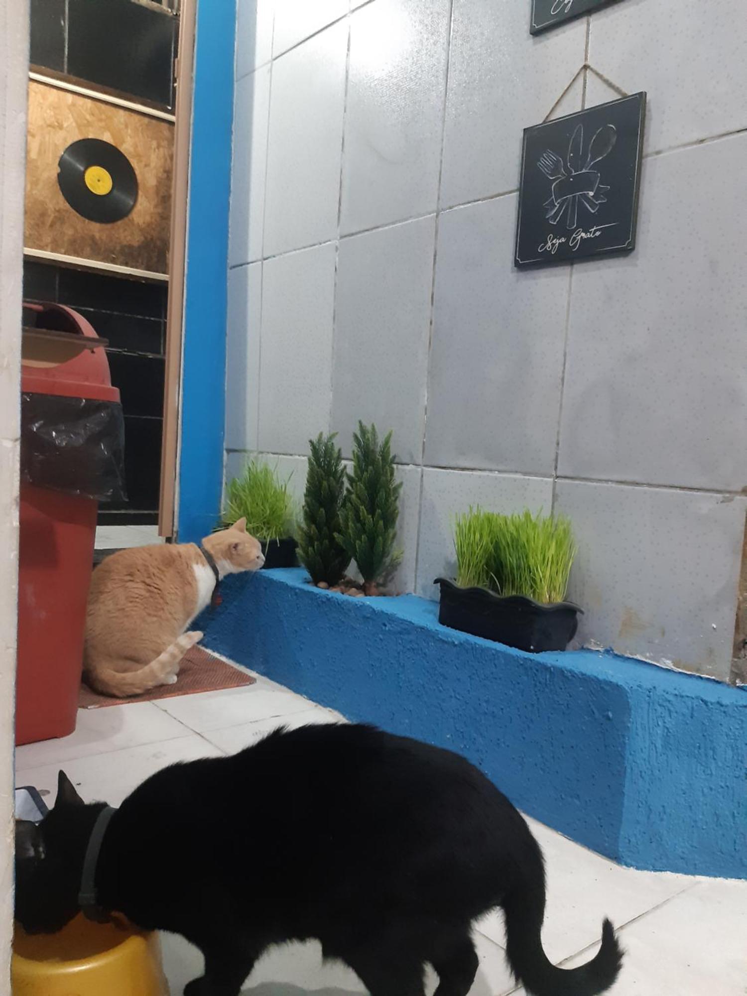 Sapucali Privative Hostel Rio de Janeiro Dış mekan fotoğraf
