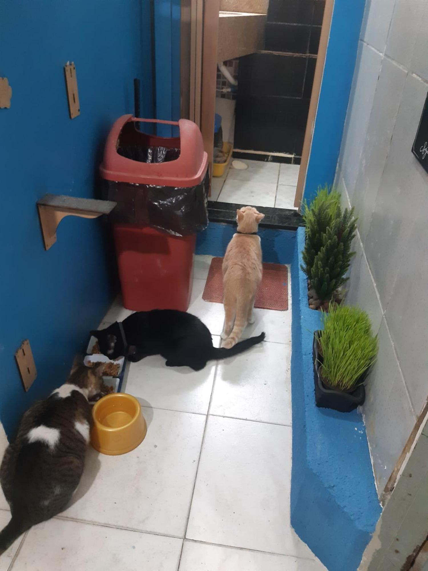 Sapucali Privative Hostel Rio de Janeiro Dış mekan fotoğraf